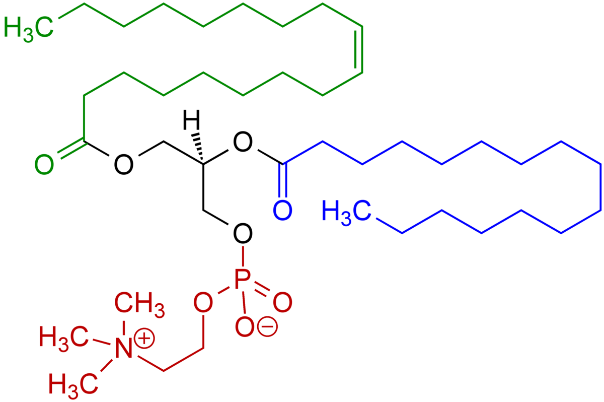 ساختار مولکولی لسیتین سویا